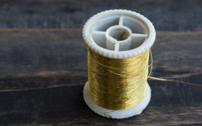 Unveiling the “Golden Thread”: Ensuring Cohesive Special Education Support